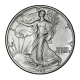 USA - 1 USD Silver Eagle 1989 - 1 Oz Silber